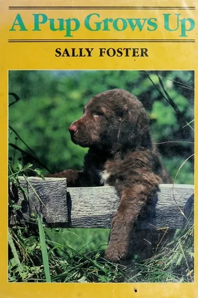 Capa de A pup grows up