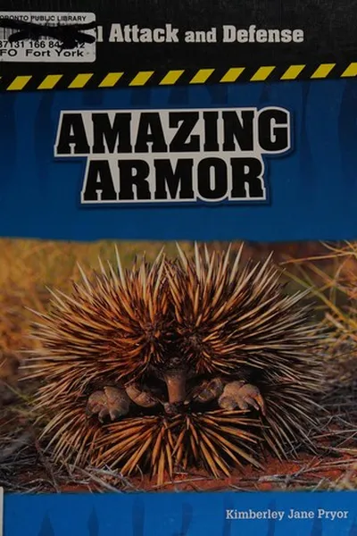 Capa de Amazing armor