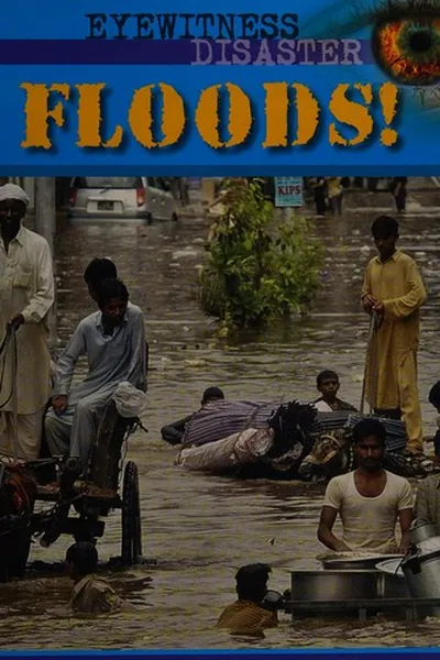 Capa de Floods!