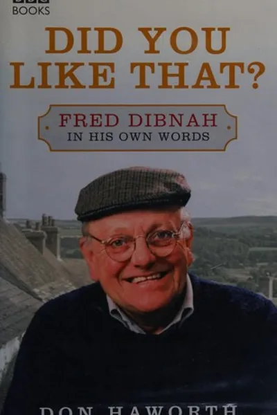 Capa de Did you like that?