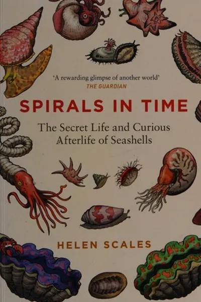 Cover of Spirals in time