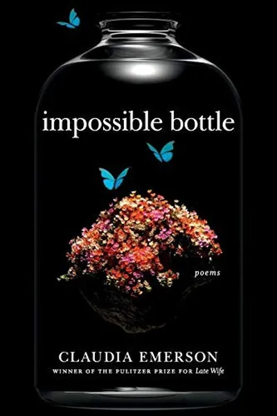 Capa de Impossible Bottle