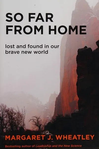 Capa de So far from home