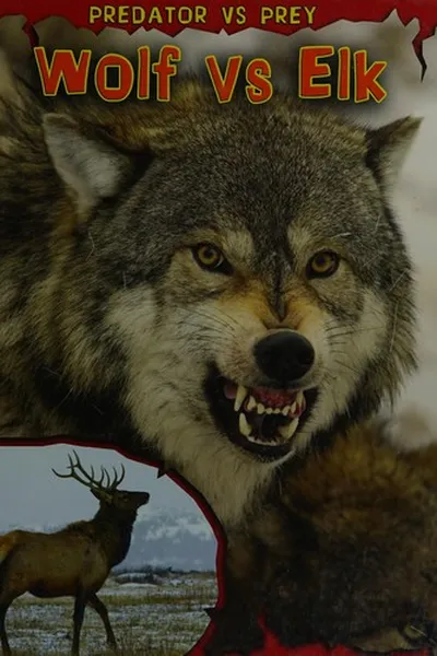 Capa de Wolf vs elk