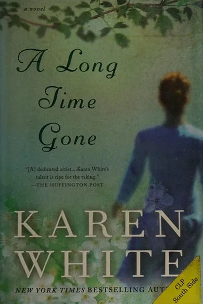 Capa de A long time gone