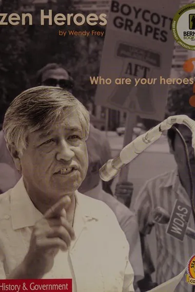 Capa de Citizen heroes