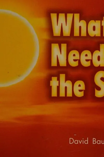 Capa de What needs the sun