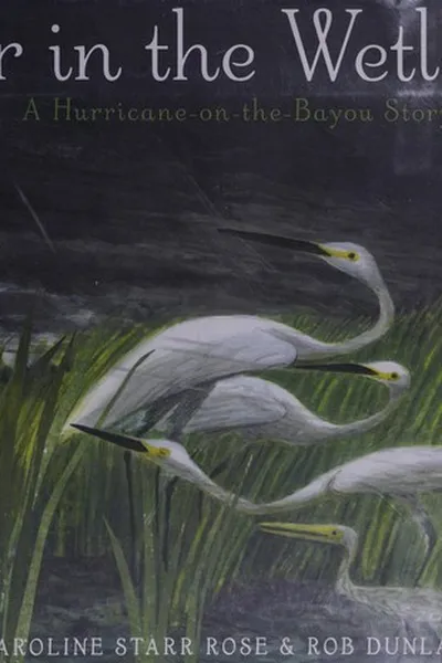 Capa de Over in the wetlands