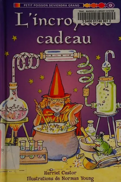 Capa de L'incroyable cadeau