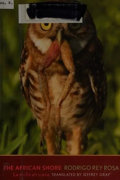 Capa de The African shore