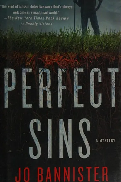 Capa de Perfect sins