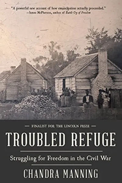 Capa de Troubled refuge