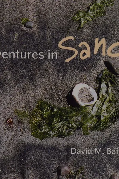 Capa de Adventures in sand