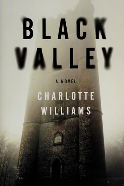 Capa de Black Valley