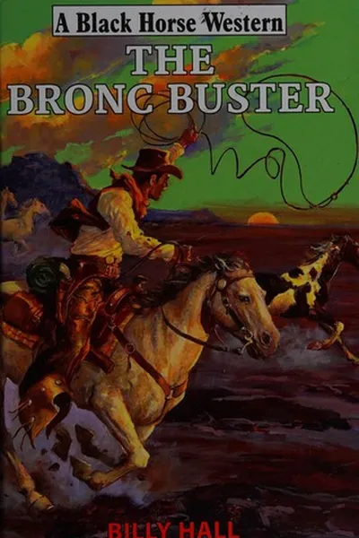Capa de The bronc buster
