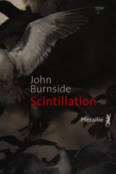 Capa de Scintillation