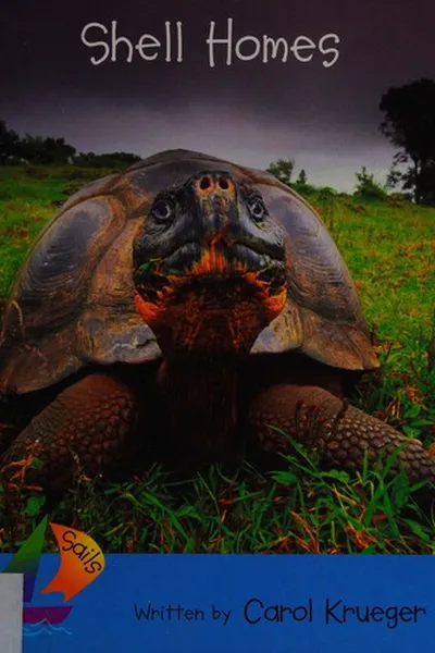 Cover of Shell homes