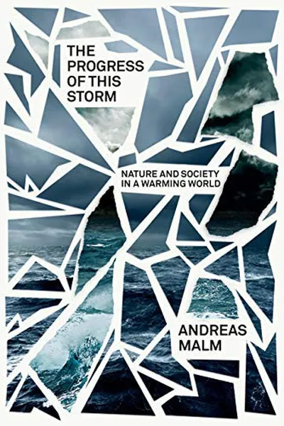 Capa de The Progress of This Storm