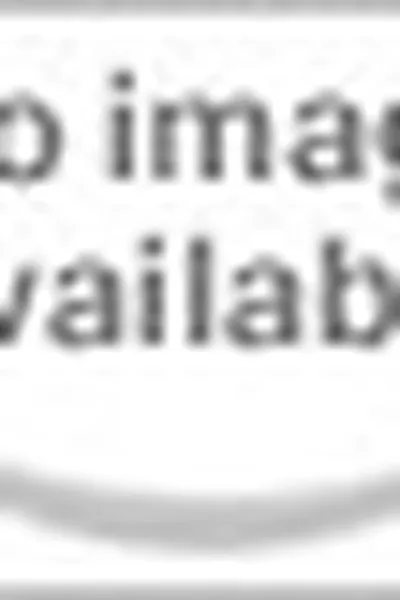 Capa de The Broken Constitution