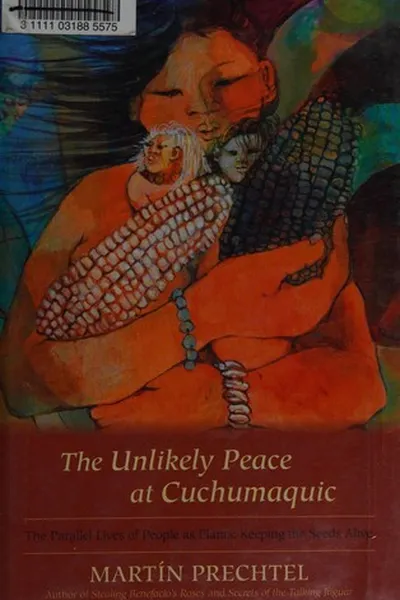 Capa de Foundations in craniosacral biodynamics