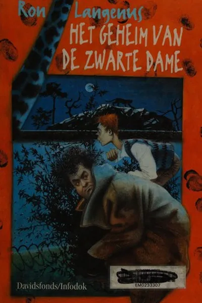 Capa de Het geheim van de zwarte dame