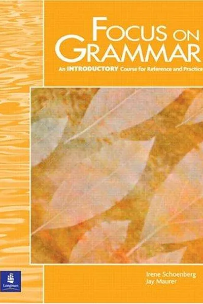 Capa de Focus on grammar