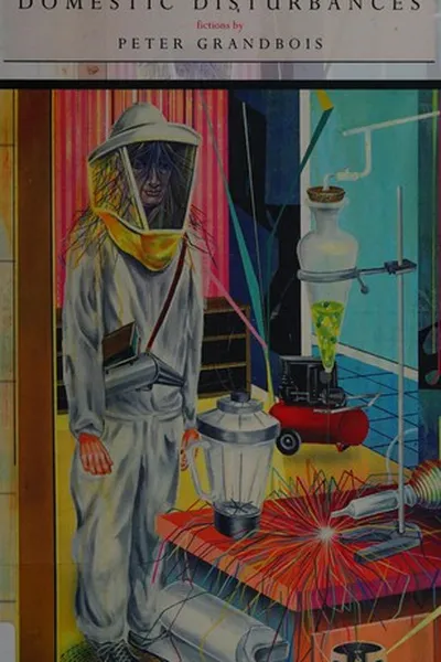 Capa de Domestic disturbances