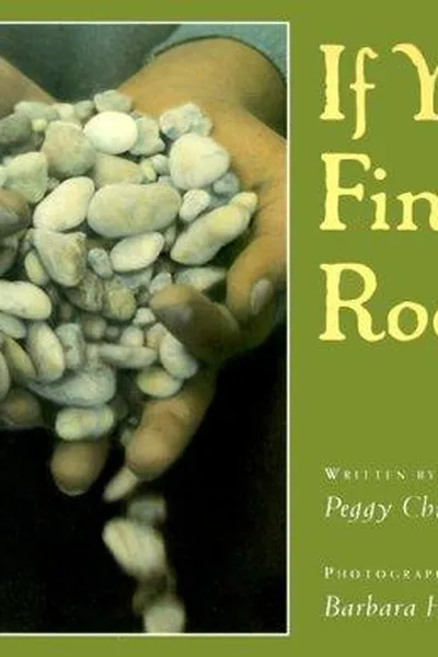 Capa de If you find a rock