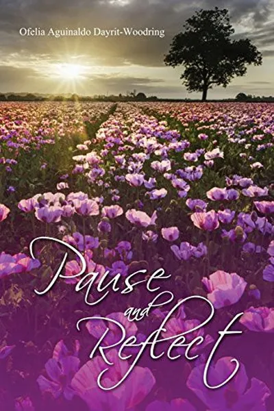 Capa de Pause and Reflect