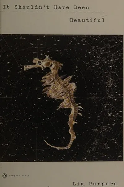 Capa de It shouldn't have been beautiful