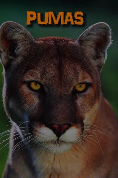 Capa de Pumas
