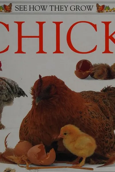 Capa de Chick