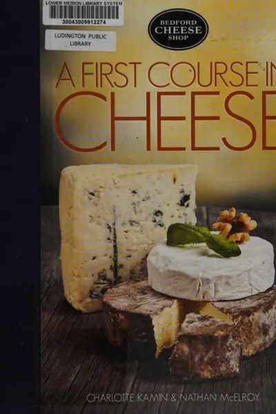 Capa de First course in cheese