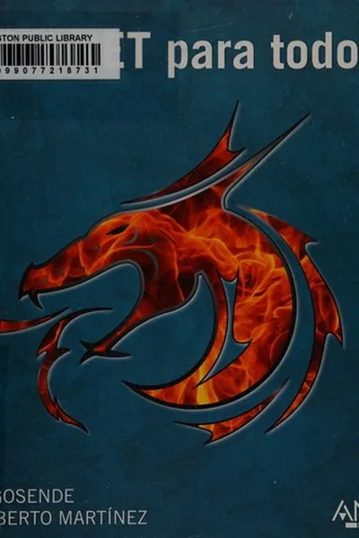 Capa de Internet para todos