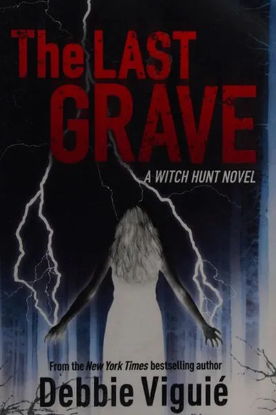 Capa de The last grave