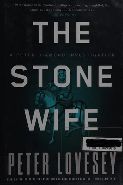 Capa de The stone wife
