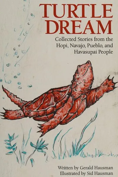 Capa de Turtle dream