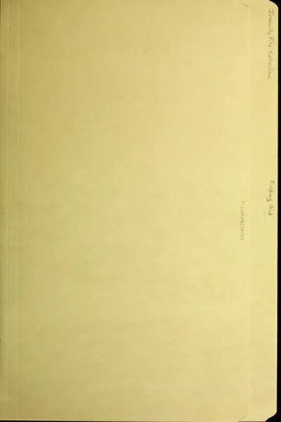 Capa de Insanity file collection