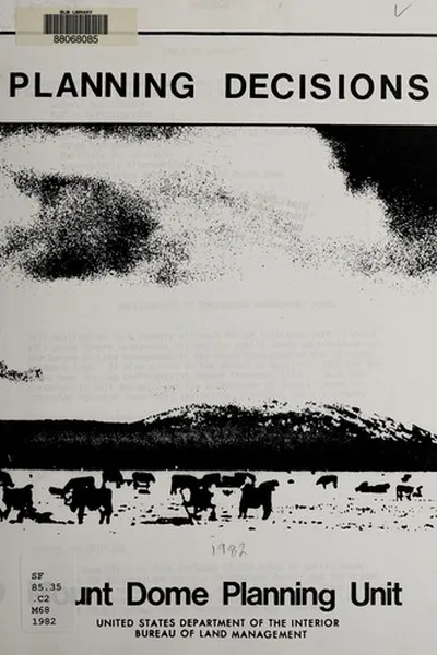 Capa de Planning decisions