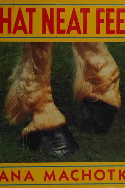 Capa de What neat feet!