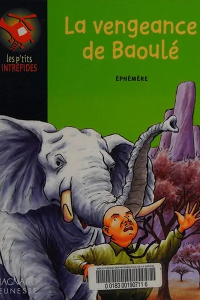 Capa de La vengeance de Baoulé