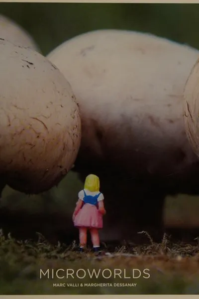 Capa de Microworlds