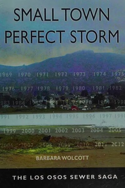 Capa de Small town, perfect storm