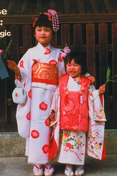 Capa de Japanese Origami