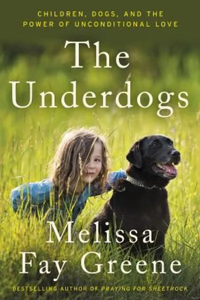 Capa de The underdogs