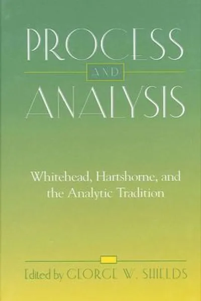 Capa de Process and analysis