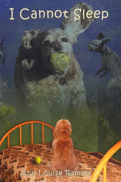 Capa de I cannot sleep