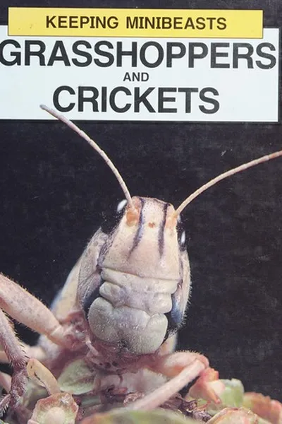 Capa de Grasshoppers and crickets