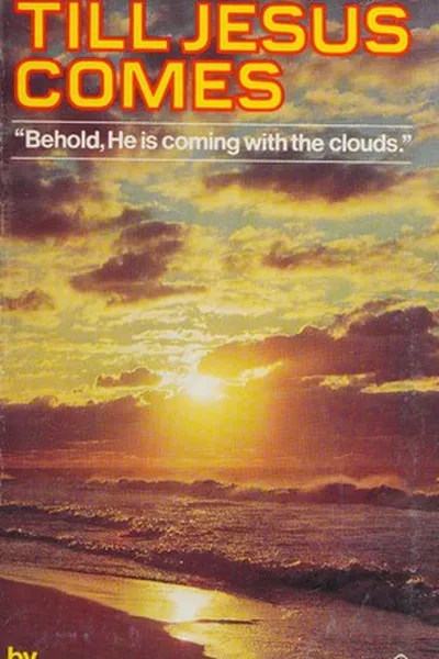 Capa de What to do till Jesus comes