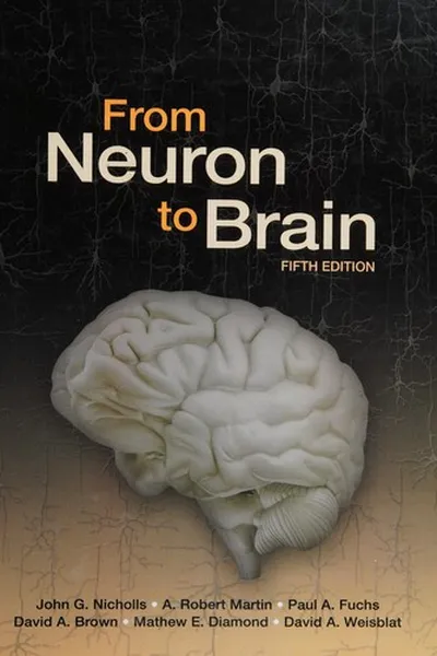 Capa de From neuron to brain